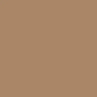 Image de folia Tonpapier, (B)500 x (H)700 mm, 130 g/qm, rehbraun