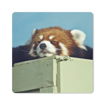 Produktbild von MuchoWow® Mauspad Mousepad Panda - Holz - Rot 30x30 cm - Mousepads - Maus Mat - Pad - Mausunterlage - Gaming