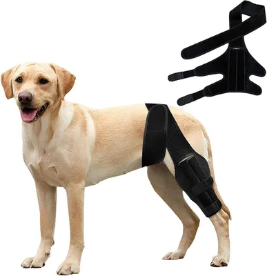 Sonstige Bandage, Hauptbild