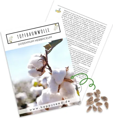 Produktbild von Baumwollsamen (Gossypium Herbaceum) mit hoher Keimrate - Baumwolle Samen für vielblütige & weiche Baumwollpflanze