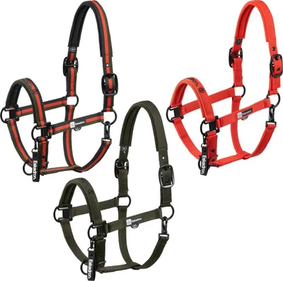 Produktbild von Eskadron DYNAMIC Halfter mit beidseitigem Dornschnallenverschluss " DOUBLE PIN " Größe - Pony1 Farbe - poppy red