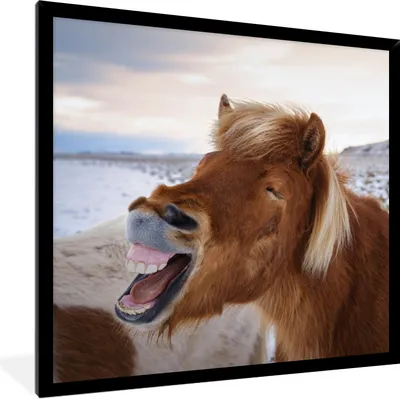 Produktbild von MuchoWow® Gerahmtes Poster Pferd - Strand - Braun 40x40 cm - Poster mit Schwarzem Bilderrahmen Wandposter Rahmen Foto Bilder - Mit Rahmen - Wanddekoration Schlafzimmer