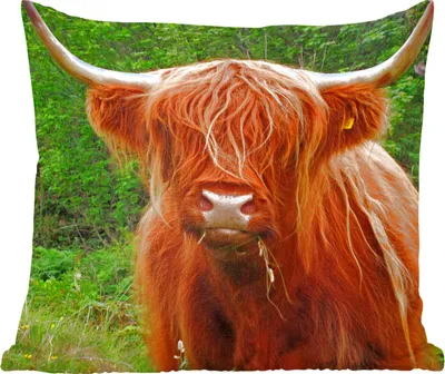 Produktbild von MuchoWow® Zierkissen Sofakissen Wohnzimmer Dekokissen 50x50 cm Schottisches Hochlandrind - Kuh - Gras - Komfort - Sofakissen