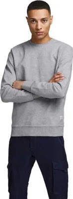 Produktbild von Jack & Jones 12181903, Erwachsener, Grau, L, Baumwolle, Polyester, Nicht bleichen, Nicht im Wäschetrockner trocknen