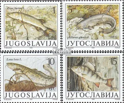 Produktbild von Briefmarken Jugoslawien 1990 Mi 2405-2408 (kompl.Ausg.) postfrisch Südwasserfische