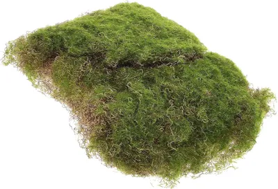 Obrázek produktu pro Nástěnný věšák z nerezové oceli, 8 háčků, stříbrná barva, do ložnice, koupelny, kuchyně
