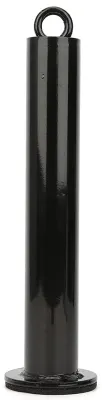 Immagine prodotto di Disco di sollevamento con barra di carico - 48 mm x 320 mm - Acciaio inossidabile - Barra fissa per allenamento della forza