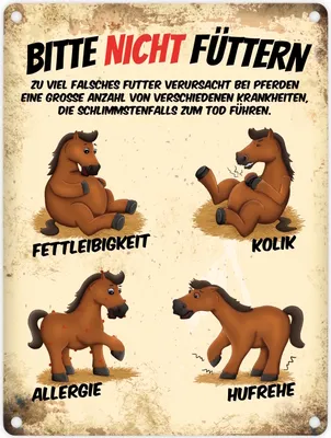 Produktbild von Metallschild mit Pferde Motiv und Spruch: Bitte nicht füttern Blechschild