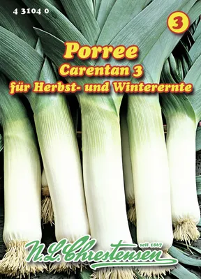 Artikelbild 1 von 'Porree Carentan 3' aus der Kategorie Lauchsamen
