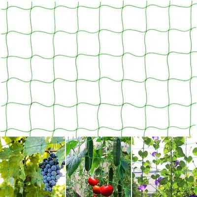 Productafbeelding van Ibenzoa® Ranknet, 2 x 3 meter, kunststof klimnet – mazen 10x10 cm, stabiele plantensteun voor tomaten, komkommers en klimplanten, geschikt voor tuin en kas