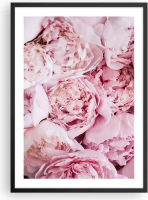 Produktbild von Gerahmtes Poster - Schwarzer Rahmen - Blumenstrauß Blumen Rosa - 50x70 cm - Wand Bild - Wanddeko - Wandbilder - Kunstposter - Wandposter - Bilderrahmen - Bilder - Kunstdruck - P2BPA50x70-5001