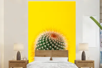 Produktbild von MuchoWow® Fototapete für Wohnzimmer oder Schlafzimmer Wandtapete Vinyl Motivtapete Kaktus mit rot - 180x280 cm - Wallpaper