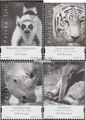 Produktbild von Briefmarken Polen 2005 Mi 4208-4211 (kompl.Ausg.) postfrisch Zoologische Gärten