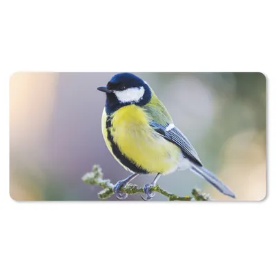Produktbild von MuchoWow® Schreibtischunterlage Kohlmeise - Vogel - Zweig 80x40 cm - XXL Mauspad - Gaming Mauspad