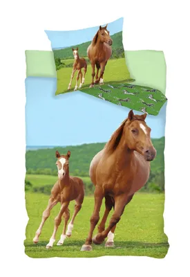 Produktbild von Bettwäsche Set mit Pferd mit Fohlen 2 tlg. 135x200 cm (80x80 cm)
