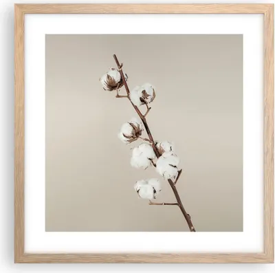 Produktbild von Gerahmtes Poster - Rahmen in heller Eiche - Baumwolle Zweig Boho - 40x40 cm - Wand Bild - Wanddeko - Wandbilder - Kunstposter - Wandposter - Bilderrahmen - Bilder - Kunstdruck - P2NAC40x40-4730