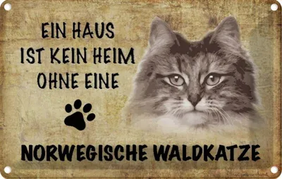 Produktbild von vianmo Blechschild 20x30 cm Norvegische Waldkatze Katze Tier Haustier