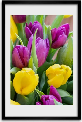 Produktbild von Bild - Bilderrahmen - 40 cm x 60 cm - MDF - Rahmen - Wandkunst - Bunte Tulpen