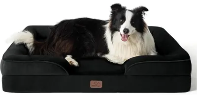 Produktbild von Orthopädisches Hundebett 89x63 cm mit eierförmigem Schaum, waschbar, rutschfest, schwarz