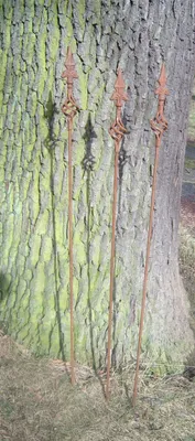 Three decorative garden stakes with pointed tops and twisted metal designs are leaning against the trunk of a large tree.