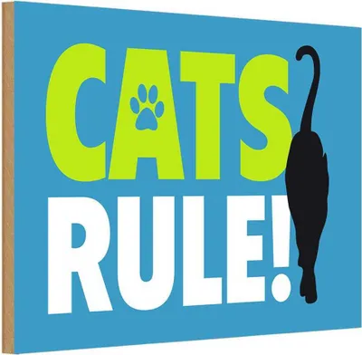 Produktbild von vianmo Holzschild 20x30 cm cats rule Katze Tier Haustier