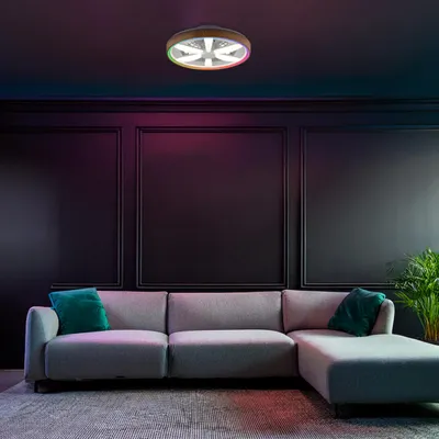 Produktbild von LED-Deckenlampe, Ventilator, Fernbedienung, RGB, CCT, Ø48cm, Holzoptik