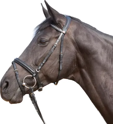 Produktbild von Kieffer Trensenzaum Ultrasoft - schwarz - Pony