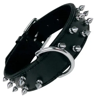 Image de Collier de chien Gloria noir à pointes (50 cm)