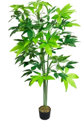 Image de Schefflera Arboricola Plante Arbre Artificielle Artificiel Plastique 150cm Domaine Interne Decovego