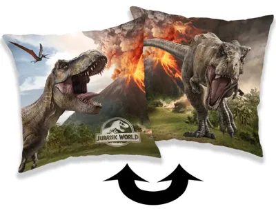 Productafbeelding van Dinosaurus sierkussen 40 x 40 cm