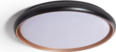 Produktbild von LED Deckenleuchte 36W Rund Ø510 mm CCT Wählbar Rayan Schwarz