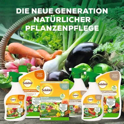 Produktbild von Pilzfrei Solabiol Solabiol Pilzfrei AF 750 ml anwendungsfertiges Pumpspray