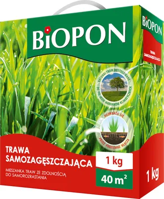 Image de Graines de gazon Auto-réparation Gazon Graines de gazon Régénération 40m2 Professionnel 1kg