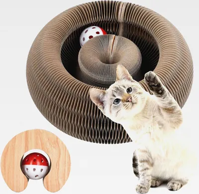 Produktbild von Magische Orgel Katzenkratzbrett,Kitten Kratzbrett für Junge Katze,Interaktive Kratzunterlage mit Ball,Katzenspielzeug Intelligenz Intelligenzspielzeug