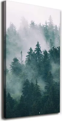 Produktbild von Tulup Leinwandbild® - 70x140cm - Wandkunst - Drucke auf Leinwand - Leinwanddruck - Wohnzimmer Wanddekoration XXL - Wohnung Deko Kunstdrucke - Landschaften - Grau - Nebel über dem Wald