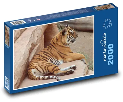 Zdjęcie produktu dla Puzzle 2000 Tygrys na wolności - martinpuzzle