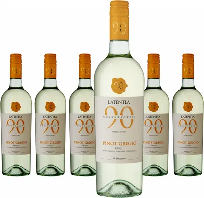 Produktbild von 6 x Novantaceppi Pinot Grigio Friuli DOC
