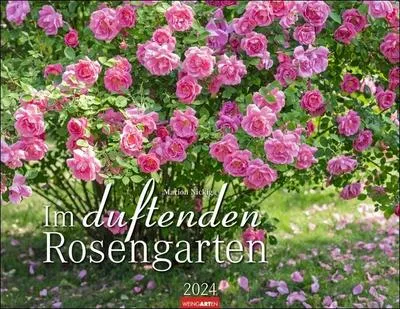 Produktbild von Im duftenden Rosengarten Kalender 2024. Wandkalender