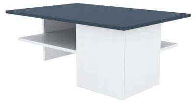 Zdjęcie produktu dla Ława 90x60x33,5 cm do salonu kolor grafit biały