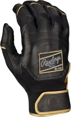 Obrázek produktu pro Rawlings PROPRFBG Pro Preferred Baseball L Black