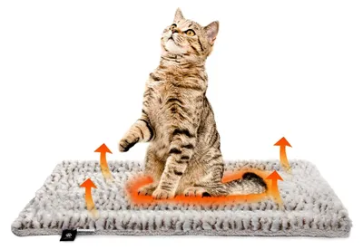 Produktbild von Selbstheizende Katzendecke - Flauschige und weiche Decke für Katzen, wendbar, 56 x 42 cm