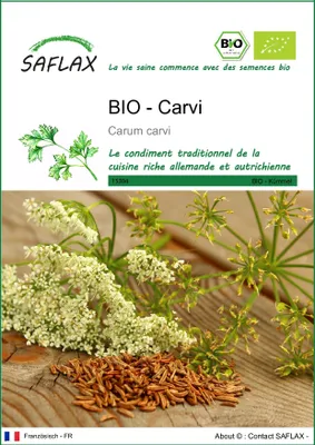 Image de SAFLAX -- Carvi - 800 graines - Carum