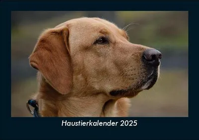 Produktbild von Haustierkalender 2025 Fotokalender DIN A5