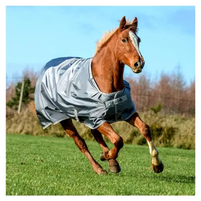 Produktbild von Smartex Turnout Medium Big Neck 150g - Iron Gate