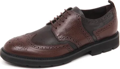 Produktbild von E5124 dunkelbraune TOD'S Schuhe NEW DERBY BUCATURE Schuh Mann