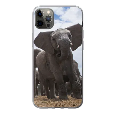 Produktbild von MuchoWow® Handyhülle Schutzhülle Hülle für iPhone 13 Pro Max Elefant - Tiere - Natur - Flachland Silikon Softcase Handy Hülle - Mobiltelefon