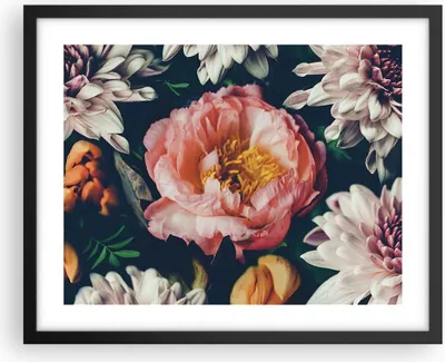 Produktbild von Gerahmtes Poster - Schwarzer Rahmen - Blumen Pfingstrose Holzig - 50x40 cm - Wand Bild - Wanddeko - Wandbilder - Kunstposter - Wandposter - Bilderrahmen - Bilder - Kunstdruck - P2BAA50x40-4661