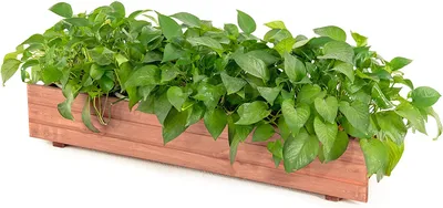 Produktbild von COSTWAY Hochbeet Holz, Gartenbeet 91,5 x 18 x 16 cm für Gemüse, Obst, Kräuter, Pflanzkasten Pflanzbeet für Garten, Rasen, Terrasse, Balkon, Keine Montage erforderlich, Braun