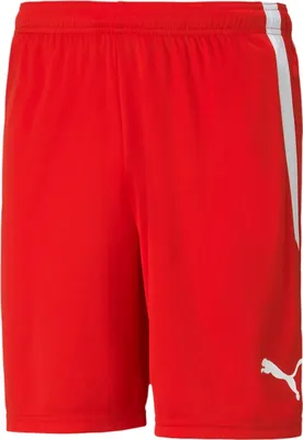Produktbild von Puma Hosen Spodenki Męskie Teamliga Granatowe, 70492406, Größe: 192