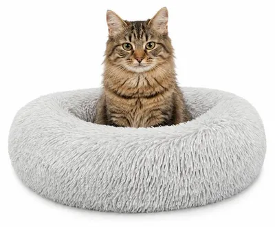 Produktbild von lionto Donut Katzenkissen, rundes Bett mit Plüschbezug & Anti-Rutsch-Boden, erhöhter Rand für Geborgenheit, 40 cm Durchmesser, hellgrau